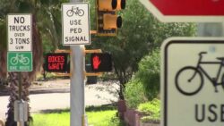 Watch: RTA pedestrian projects making a difference in the region